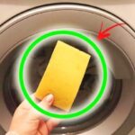 How Two Lemons in Your Washing Machine Can Transform Your Laundry Routine