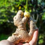 Get Rid of That Nasty Old Grease Stuck to Your Pots With This Effective Trick