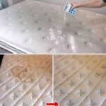 This Cotton Ball Hack Completely Got Rid of Mold and Mildew in My Shower