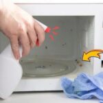 Mold in the coffee machine: how to find it, remove it and avoid it