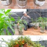 9 DIY Cucumber Trellis Ideas for Easy Harvesting and Maximized Garden Potential