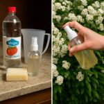 💅 Soak Your Nails in Castor Oil and Watch Them Gradually Change: A Natural Beauty Secret Revealed