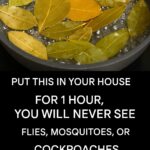 🌿 10+ Foods to Help Lower Your Blood Sugar Naturally (Backed by Research)