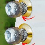 A Pleasant Fragrance in Your Home and Zero Insects: This Simple Trick Works Wonders With Just a Few Ingredients