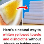 The Mystery of the Tiny Pocket in Your Jeans: What Is It Really For?