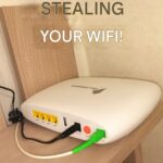 Natural Solutions to Repel Pests and Parasites from Your Home