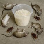 I Learned from My Mother: A Tablespoon of This Ingredient in Milk Every Day — But It Has to Be Like This…