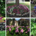 🌿 10 Best Ground Cover Plants For Your Garden