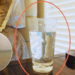 Try This Simple Homemade Mix to Keep Flies and Pests Away Naturally