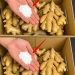 Ginger Water: The Healthiest Recipe