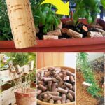 11 Easy-To-Divide Perennials That Will Multiply Your Blooms