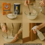 Three Old, Forgotten Recipes for Cleansing the Liver and Blood: The Natural BOM
