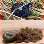 🪳 Kill Cockroaches Overnight Without Using Pesticides – Natural and Effective!