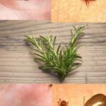 Erase Home Mold Safely with Hydrogen Peroxide