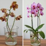 The Natural Solution to Weeds: Here’s How to Eliminate Them Without Chemicals