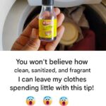This Is Why You Absolutely Must Soak Dried Fruit Before Eating It