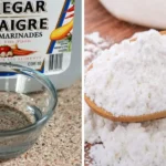 Grandma’s Remedy for Varicose Veins: Natural Relief at Home