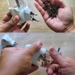 Pine Cone Syrup: A Newbie-Friendly Guide (Benefits, How to Make It, and Everyday Uses)