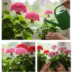 6 Signs of a Messy Home: What It Reveals About Her