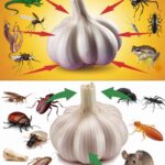 The Shape of Your Belly Button Reveals Your Personality!