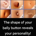 🪳 Cockroaches in Your Home? This Effective Trick Will Stop Them Immediately: They Come Up Through the Pipes, But With This System They Won’t Get Through Anymore