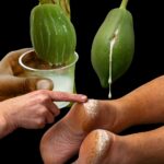 The Shape of Your Belly Button Reveals Your Personality!