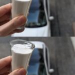 What It Means When Your Dog Lies on Your Clothes, According to Experts