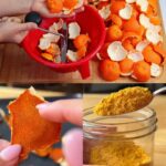 🌿 How to Grow Black Mulberry in a Pot at Home and Get Lots of Fruit 🍇