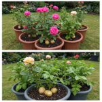 Stop Using Your Stove Wrong: The Real Purpose of the Bottom Drawer