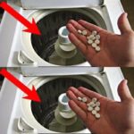 I Eat Vegetable Casserole Day and Night and Lose Weight Quickly — A Low-Calorie Recipe That Really Works!