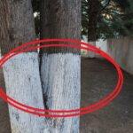 🥣 Oatmeal and Apples Recipe (No Flour, No Sugar) 🍎