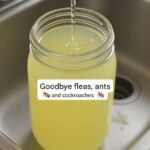 Can We Wear Underwear Two Days in a Row? The Answer Will Surprise You!