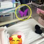 Nutrition Experts Reveal Surprising Health Benefits of Eating Walnuts