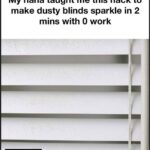 Why You Should Put Mullein Leaves on the Soles of Your Feet