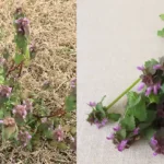 Why You Get Up at Night to Urinate: Causes, Facts & What Science Says