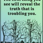 The Hidden Power of Pistachio Shells: Benefits and Clever Homemade Uses