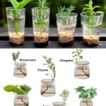 “The 108-Year-Old Southern Salad Recipe That Has Never Stopped Being Controversial”