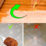 One Teaspoon Is Enough to Make All Your Plants Bloom: The Simple Trick Gardeners Swear By