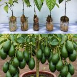 Why Is It Recommended to Turn Off Your Phone’s Wi-Fi When You Leave Home?