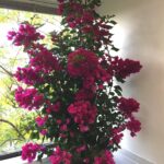 My Grandpa Had a Foolproof Trick to Fix Dead Grass Patches With Almost Zero Work — Here’s How It Works