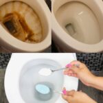 “Christmas Appetizer Favorite”: Just 4 Ingredients I Make Nonstop During the Holidays 🎄