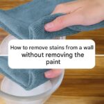 10 Flowers and Plants You Can Easily Grow in a Glass of Water to Keep Your Home Smelling Fresh