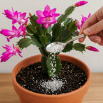 The Secret Trick to Cleaning Your Floor: How to Keep It Clean Three Times Longer