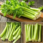 Why Some U.S. Bills Have a Bow and Arrow Mark?