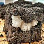 The Benefits of Oatmeal Water with Lemon That You Didn’t Know About