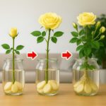 Eye Doctor Reveals What to Do If You Start Seeing “Floaters”