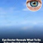 Hands Down, One of the Best Party Appetizers Ever!