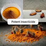 How to Make Your Own Eco-Friendly Fire Blocks at Home and Slash Your Winter Heating Costs