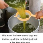 Are Sweet Potatoes Healthier Than Regular Potatoes? Experts Explain