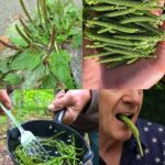 Experts Say 19°C Is Outdated: The New Ideal Temperatures for Every Room in Your Home